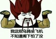 我这招乌鸦坐飞机,不知道阁下怕了没_这招_坐飞机_阁下_乌鸦_知道表情