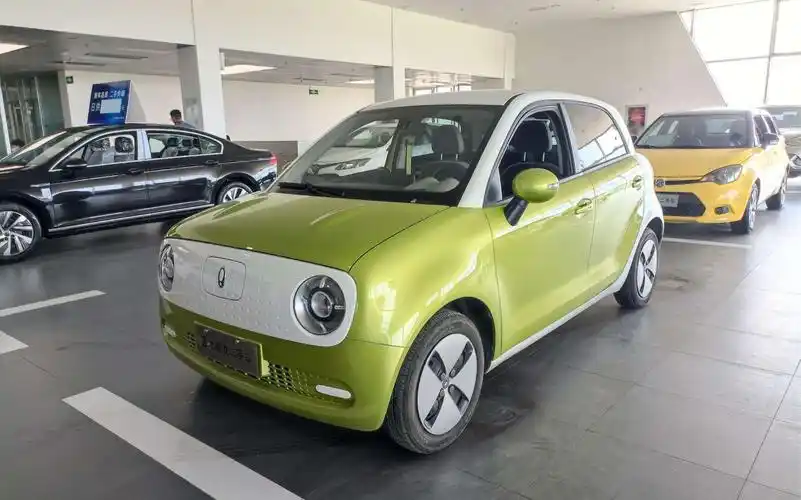 欧拉黑猫2021款 301km 基础型