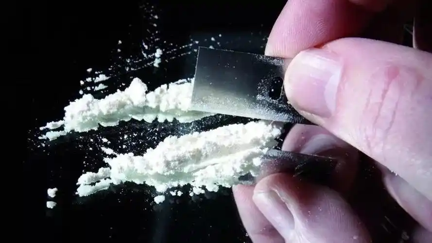 贩毒男子藏山洞10年逃避追捕,新型毒品长啥样?_白粉