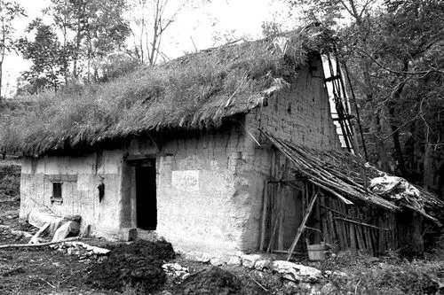 回乡变化看住房