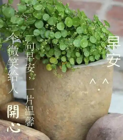 原创9张炎炎夏日非常有创意好看的早上好问候图片带字唯美夏天早安