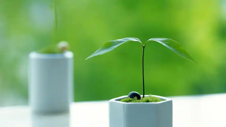 唯美清新护眼绿叶高清宽屏桌面壁纸高清大图预览1920x1080_植物壁纸