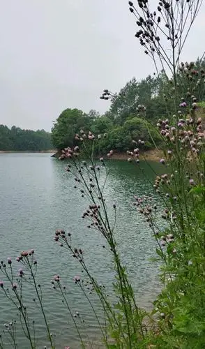 生活处处有美景之随拍