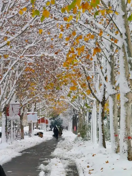 郑州科技学院河南工程学院洛阳理工学院新乡学院河南城建学院商丘师