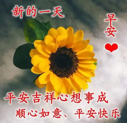大家早上好祝福问候语图片大全