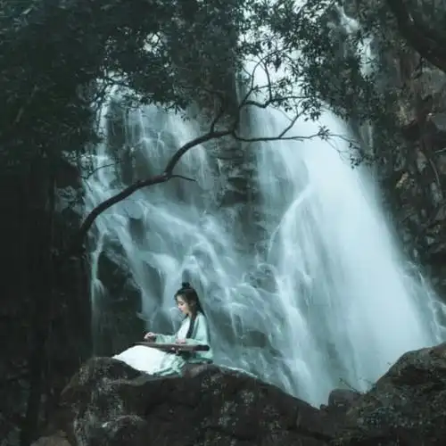 古琴| 独坐幽篁里 弹琴复长啸