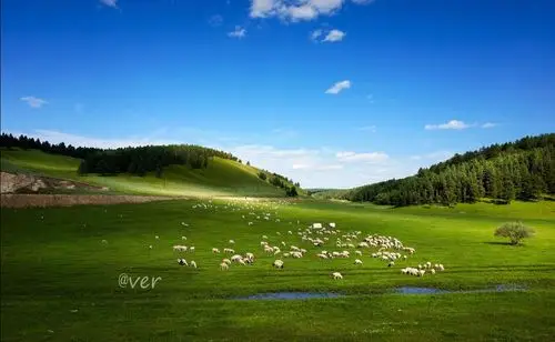 19号"天堂草原"乌拉盖·璀璨阿尔山天池·"中国最美草原"呼伦贝尔大