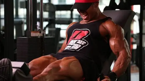 欧美健身肌肉男图片高清壁纸下载-55壁纸网