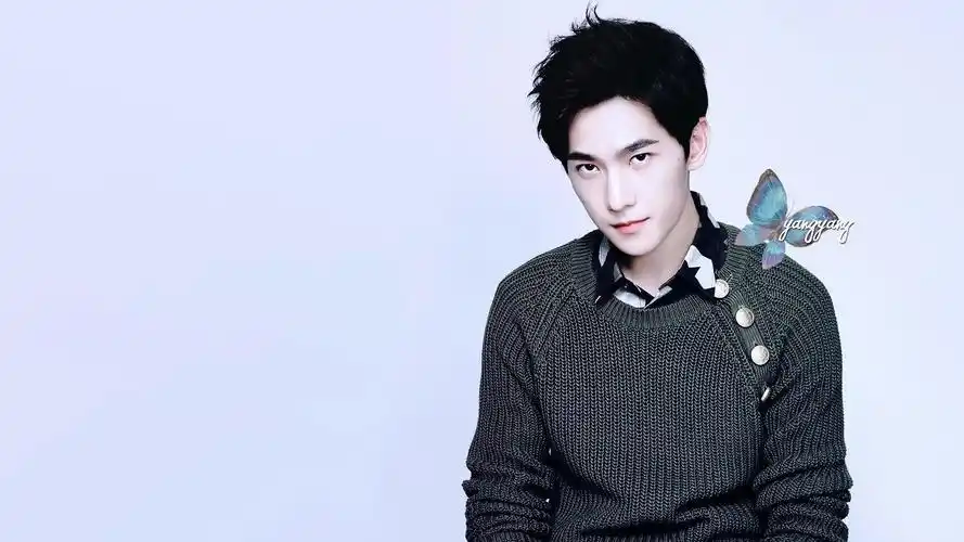 杨洋 帅气 明星风尚壁纸壁纸是一款电脑壁纸,属于明星分类