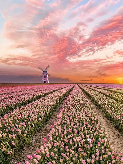 我们一起去看晚霞在一个浪漫的时间治愈系风景动态壁纸晚霞