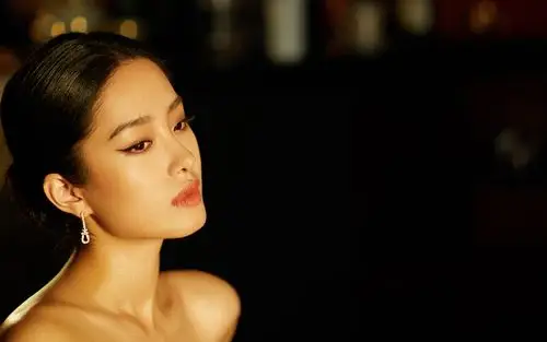 杨采钰优雅性感写真图片桌面壁纸