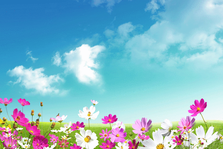 你就是你人生最好的资源