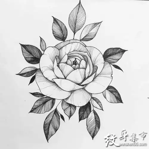 素花女武士艺伎纹身素花女武士纹身手稿图案大全