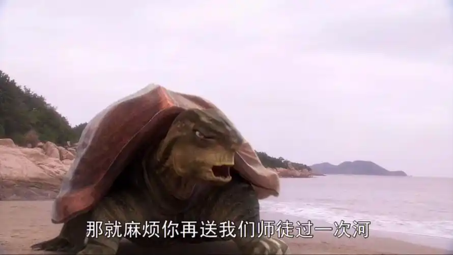 孙悟空获益最多!_乌龟