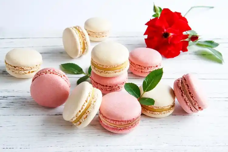 美食摄影 美食静物 马卡龙系列2