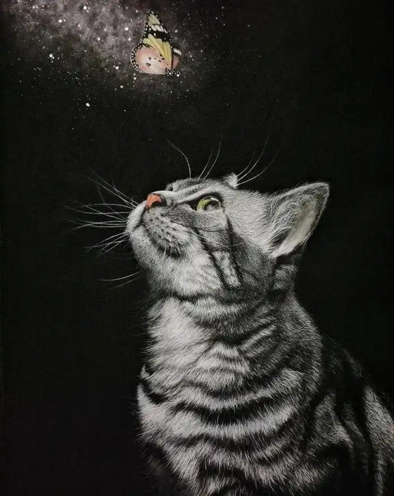 超写实手绘 #动物素描萌宠 #猫#精微素描动物  - 抖音