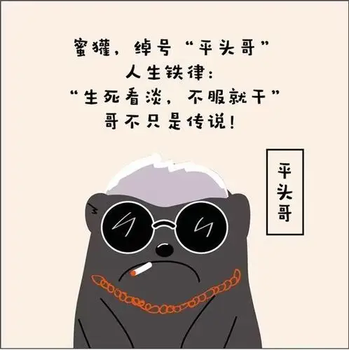 游资你们别跑偏了