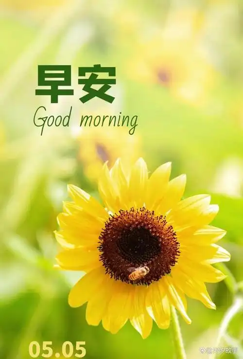 时光生香里,让每一个生命都能以自己最好的方式,舒展人生最美的风景