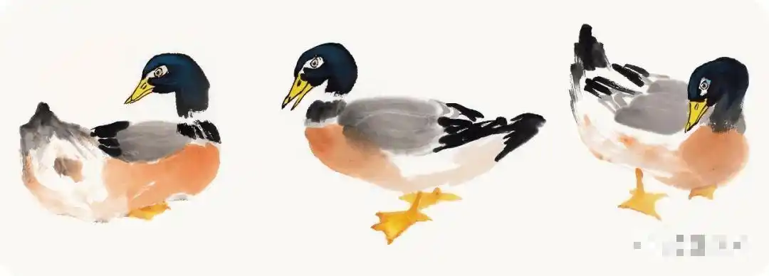 国画教程写意鸭画法