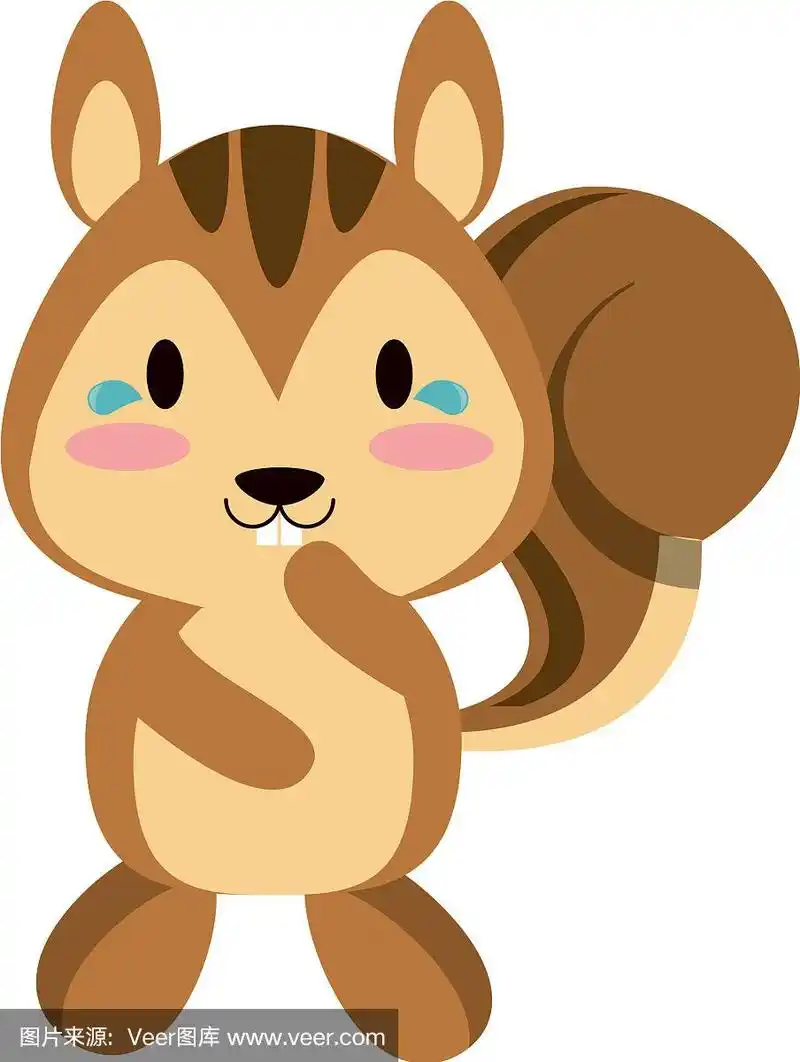 可爱的松鼠动物卡通