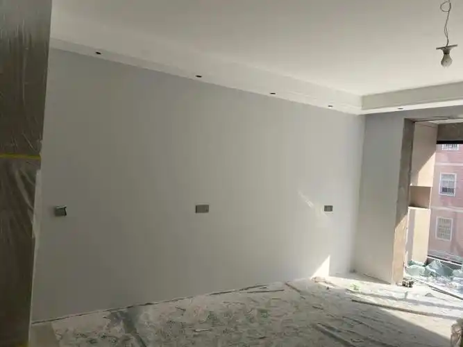 多乐士网红灰翻车