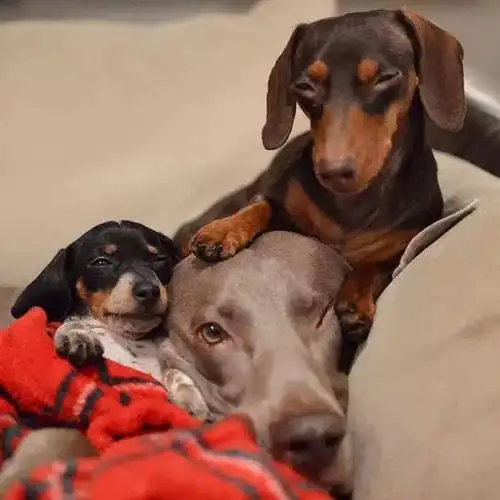 [暖心瞬间]这些画面会让你感动吗?