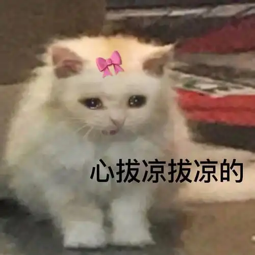 心拔凉拔凉的(流泪猫猫头表情包)_心拔_凉拔表情