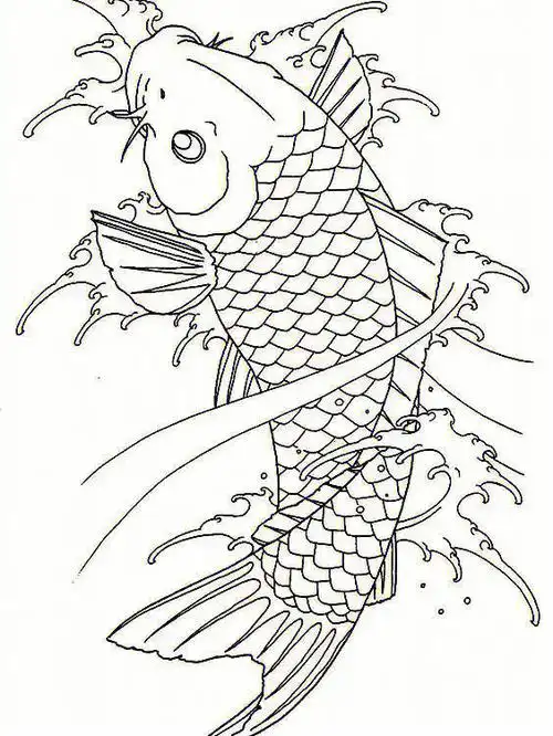 鲤鱼线稿图