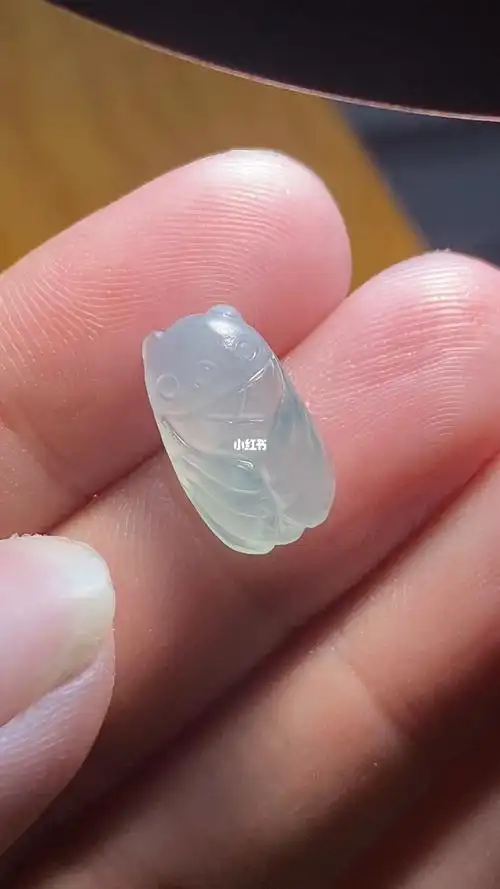 玉蝉丨寓意一鸣惊人