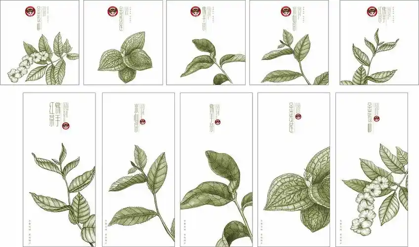 "永春五味"茶礼包系列设计