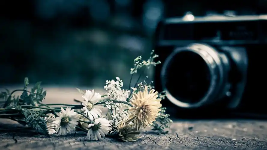 复古文艺的照相机图片桌面壁纸一高清大图预览1920×1200_风景壁纸