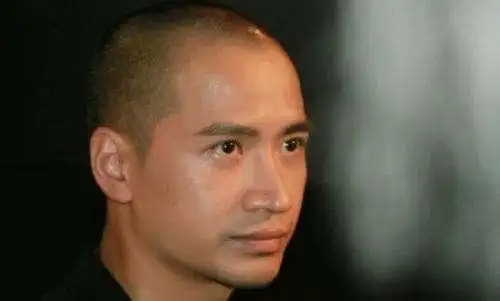 男星光头造型,赵文卓,梁朝伟长头发多余了