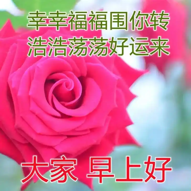 周三最新慰问大家早上好图片大全,早上好祝福语