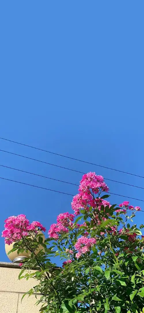 朋友圈自拍文案##朋友圈文案##日常文案##微信状态背景图##小众壁