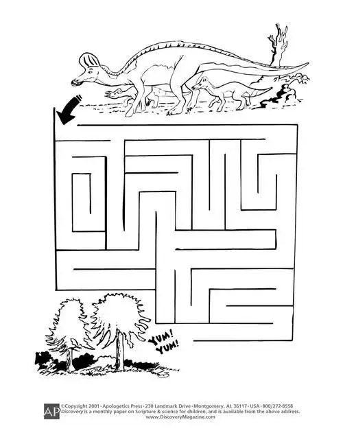 迷宫房子简笔画