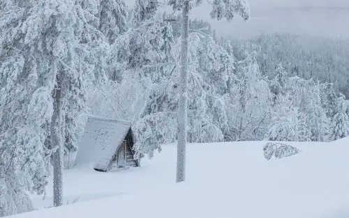 唯美冬日雪景图片电脑壁纸