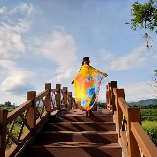 凡人专栏美篇[六月静好,浅夏安然🌹周末放松好心情🌹风情小镇茶园