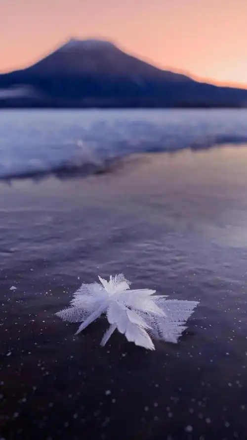 湖面上的冰雪花