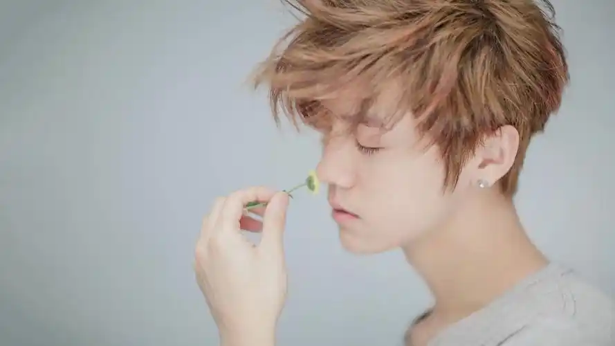 壁纸封面图明星 大陆 鹿晗 明星风尚壁纸壁纸于2020-06-16上传元气