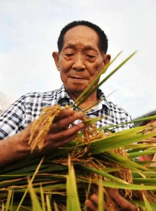 袁隆平:无双国士是怎么炼成的?