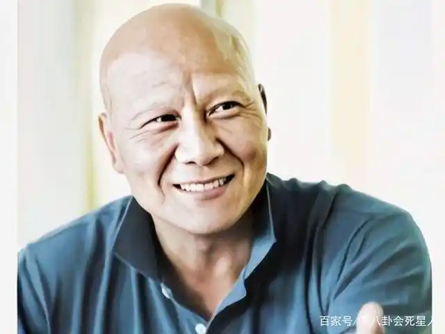 8位光头男星现状葛优成百亿票房影帝包贝尔作品陷抄袭风波