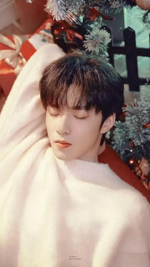 青年演员刘耀文