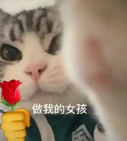 猫咪头拿玫瑰做我的女孩猫咪头拿玫瑰表情包jpg