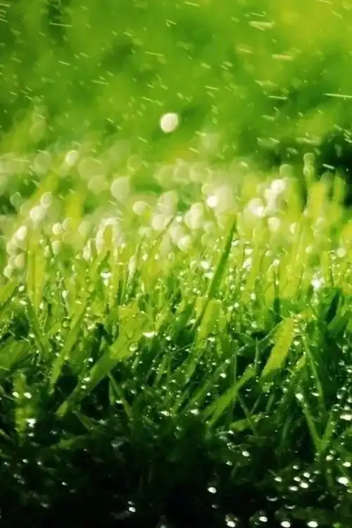 高清微信护眼图,选1张当聊天背景图吧!(附24首养生音乐)