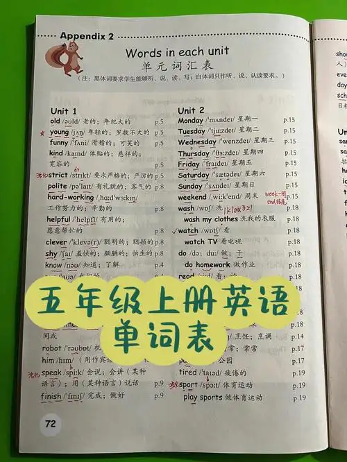 五年级上册英语单词表