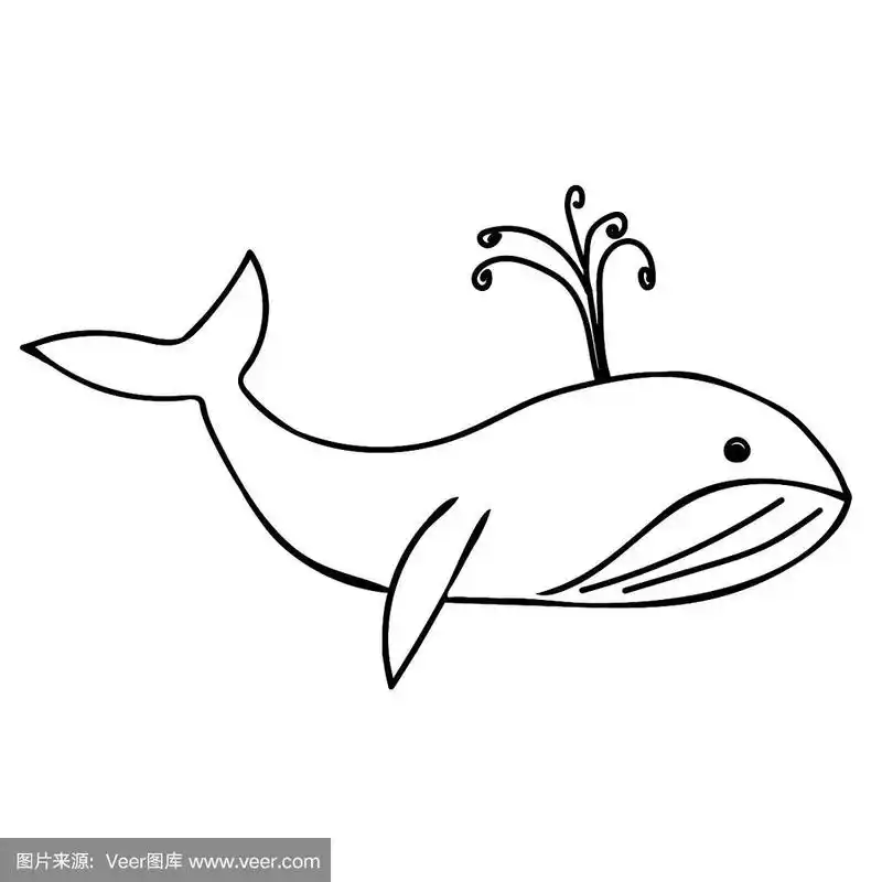 手绘轮廓黑色矢量插图的美丽快乐的鲸鱼孤立在白色的背景