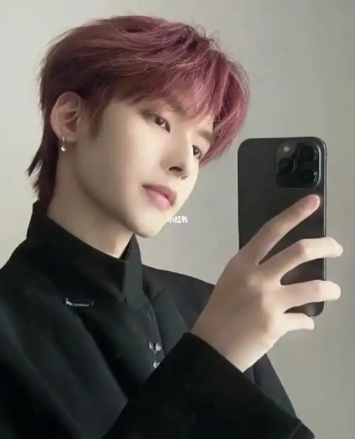 男生显白发色推荐树莓红