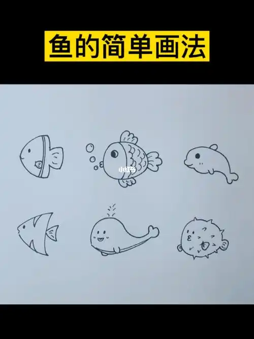 不同种鱼的简单画法