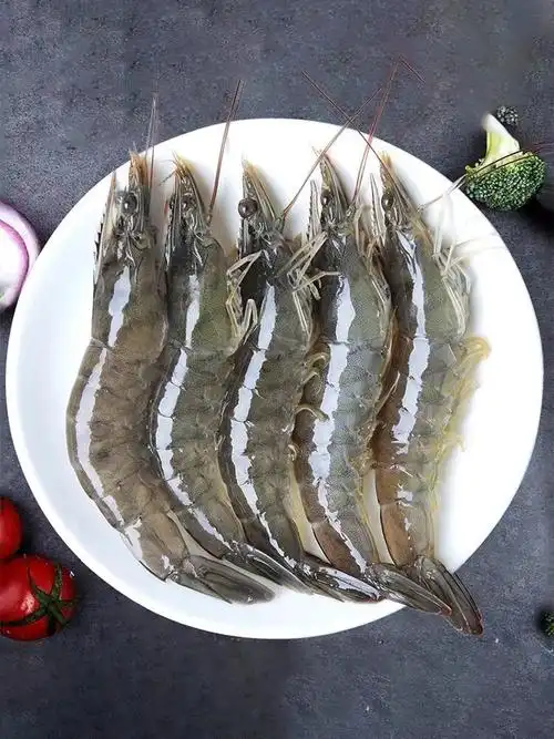 一件代发厄瓜多尔白虾海虾南美白虾大海虾大对虾3.6斤 包邮