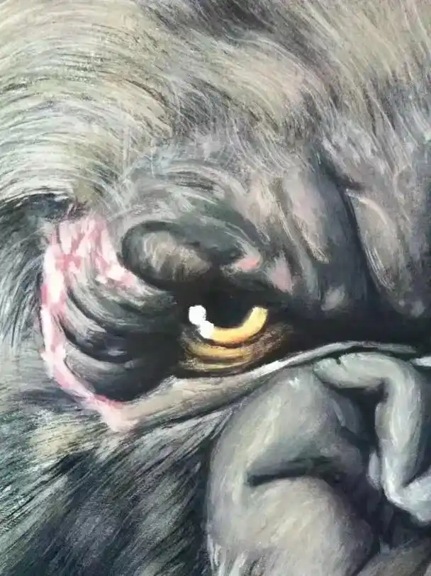 15年的作品#水粉画#猩猩#金刚 - 抖音